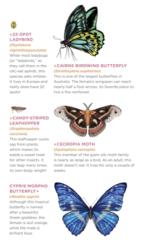Fluttery, Friendly Tattoo Butterflies and Other Insects: 81 Temporary Tattoos That Teach