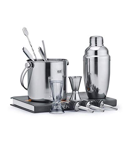 ZHJIUXING HO Juego De Coctelera Profesional, Doble Jigger, Surtidores De Licor, Batidora De Martini, Kit De Camarero, 550ml