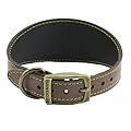 Ancol Timberwolf Leather Greyhound Dog Collar in Sable - Top Grain Bridle Leather Comfortable Durable Pet Training Accessory - 34-43cm