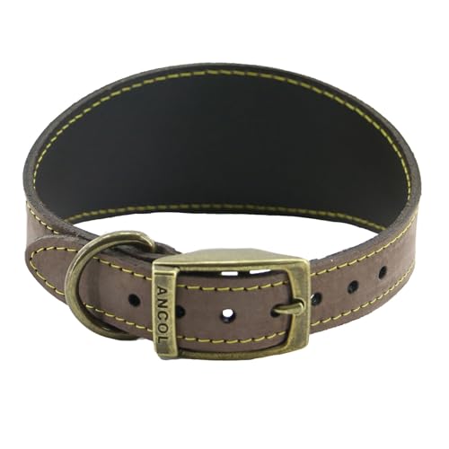 Collier lévrier Ancol Timberwolf cuir marron idéal pour vos sorties