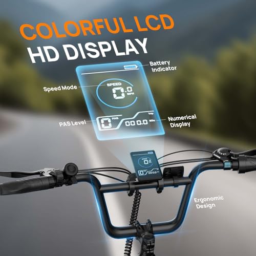 Variante de URLIFE Bicicleta Eléctrica E20 20×3 48V 13Ah