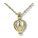 Pearlina Cultured Wish Pearl in Oyster Necklace Set Gold Plated Cage Locket w/ Stainless Steel Chain 18"