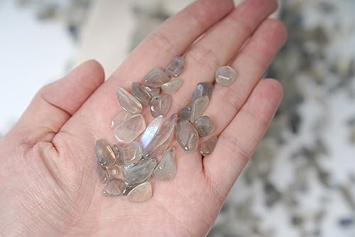 Image of ZenQ 1 lb Crystal Chips, Tumbled Stone Chips for Crafts | Polished, Undrilled Gemstones for Resin Art, Vase Filler, Plant Decor, Candle Making, and DIY Projects