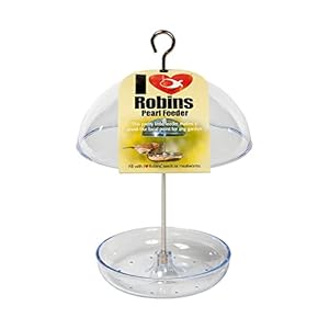 Jacobi Jayne ILR-PF Clear Hanging Bird Feeder – I Love Robins Pearl Feeder with 15cm rain dome – attracts small garden…