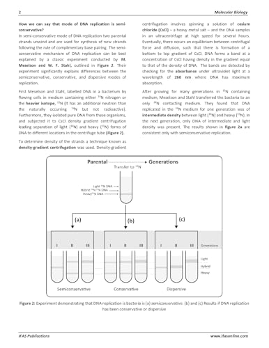 Image of Molecular Biology Book - Reference Textbook for B.Sc., M.Sc. & Competitive Exams | Best Seller Molecular Biology of Gene and Cell Book for CSIR NET, IIT JAM, CUET PG, GATE & SET | IFAS