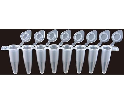 FastGene 0.2mL 8APCR`[u Lbv̌^/tbgLbv^Cv 120Xgbv FG-088WF 1(120Xgbv)