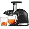 Cold Press Juicer Machines, AMZCHEF Slow Masticating Juicer with Reverse Function, High Juice Yield, Easy Clean with Brush,Recipes for High Nutrient Fruits and Vegetables, Black(Updated)