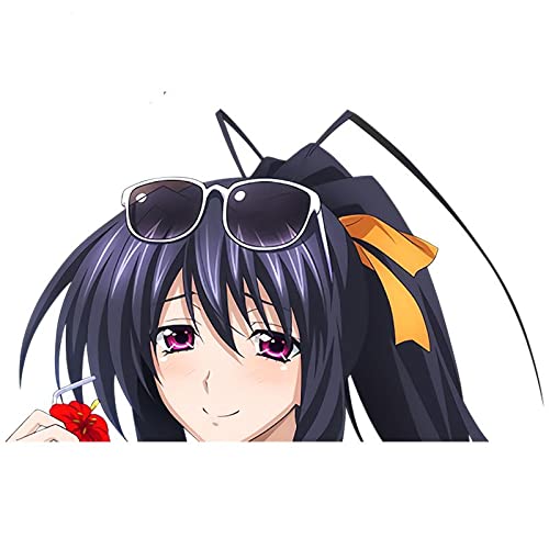 13cmx8cm for Himejima Akeno Decal Scratch Proof Anime Refrigerator Car Stickers Occlusion Scratch