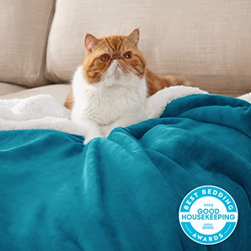 Bedsure GentleSoft Sherpa Fleece Blankets Queen Size for Bed - Thick and Warm Throw for Women and Men, Soft Fuzzy Plush Queen Blanket for Winter, Teal, 90x90 Inches