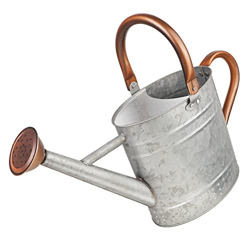 1 Gallon Metal Watering Can with Removable Spout, Nice Galvanized...