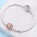 Rose Gold Galaxy Charm Authentic 925 Sterling Silver Openwork Charms with Clear CZ for European Bracelet