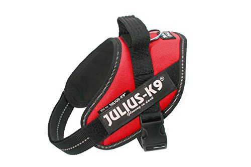 Julius K9 16IDC-R-MM IDC-Powergeschirr mit Logofeld, mini rot