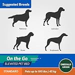 Coolaroo On The Go Elevated Pet Bed, Large, Emerald Green