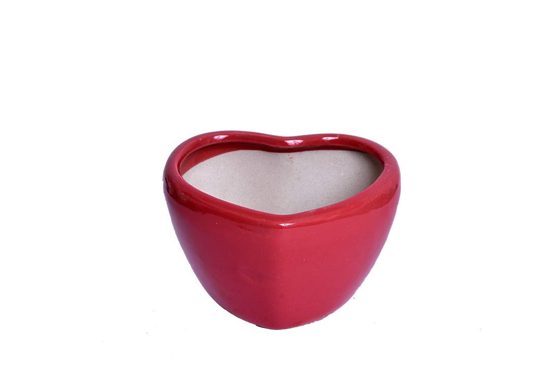 See full amazon price history chart for Green Paradise RED Heart Shape Glossy Ceramic Pot Glossy/Table TOP/Planter Green Paradise RED Heart Shape Glossy Ceramic Pot Glossy/Table TOP/Planter (B08RJR5Z1Q) Amazon Price History, Amazon Price Tracker