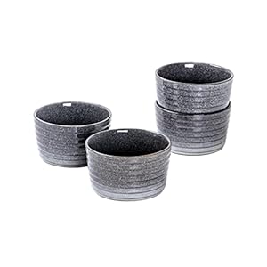 UNICASA Ramekin Set of 4, UNICASA 8 oz Creme Brulee Ramekins, Oven Safe Baking Set for Custard, Pudding, Souffle Cups, Reactive Gray