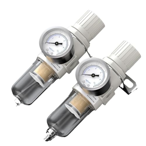 Filtro purificador AFR2000 para instalaciones de gas y compresores de aire