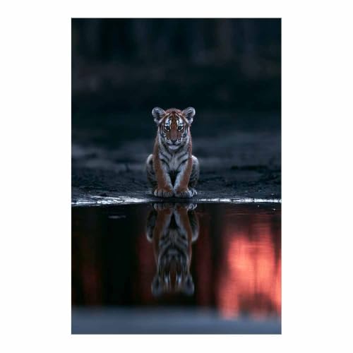 Toile petit tigre mignon pour salon et salle de jeux - Peinture animalière multicolore 40x60cm