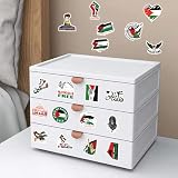 100PCS Colorful Free Palestine Stickers Freedom Waterproof Palestine Stickers Vinyl Decals Stickers for Teens Water Bottle Computer Bumper Pad Phone