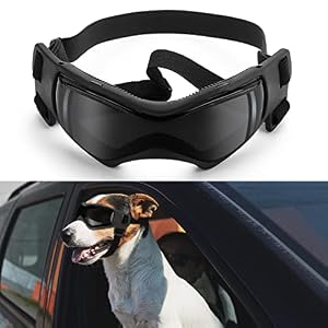 Goggles for Dogs Ownpets Dog Glasses UV Protection Goggles Snow Protection Wind Protection Dust Protection with Adjustable Strap Safety Pet Sunglasses for Small and Medium Dog Black