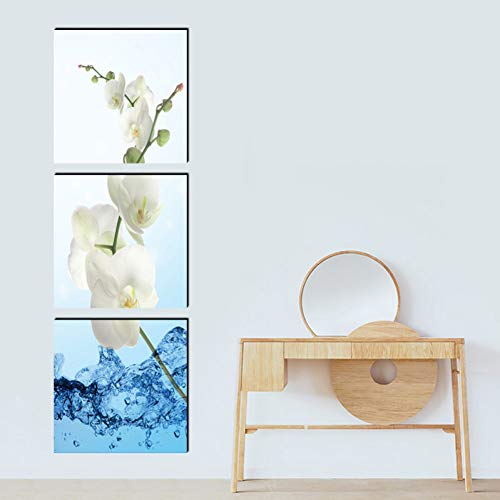 MMLFY 3 Cuadros consecutivos 40X40cmX3 Sin Marco Phalaenopsis Flor Moderna Vertical Cuadrado Lienzo Pintura couart Imprime 3 psc Art Deco Imagen de Pared para Pasillo Pasillo