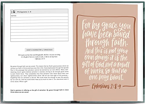 Image of The Bible in a Year: A Guided Bible Study Reading Plan to Read the Bible in 52 Weeks (Premium Hardcover Keepsake Edition)