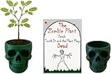 Zombie Plant Seeds Pack with Two Mini 3D Skull Flower Pots for Growing Sensitive Plants, Succulents, and More β Unique Gothic Planter That Reacts to Touch