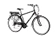 Herren E-Bike F.lli Schiano E-Ride 28 Zoll, City E-Bike mit 250W Motor