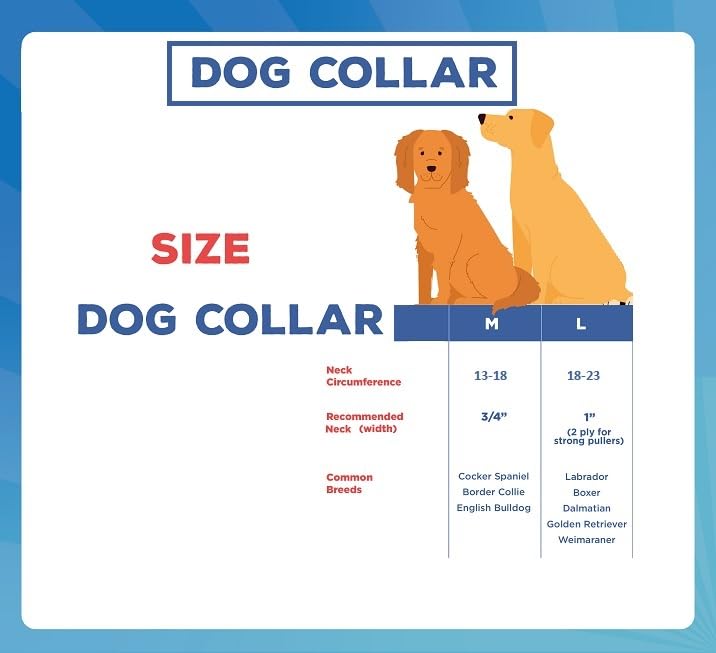 NITZU-PETS-Nylon-Dog-Ghungroo-Collar-with-Ghungroo-Dog-Collar-Metal-Jingle-Bells-Dog-Bell-Collar-Pet-Bells-Collars-Loud-Dog-Bells-Puppy-Dog-Bell-Collar-Medium-Black