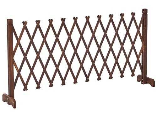 Treillis de Jardin en Bois de Sapin 152 x 70 cm Cloison Extensible Pliable Marron Foncé Sciolze