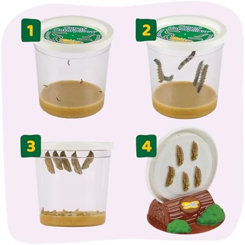 Insect Lore Cup of Caterpillars - 5 Live Painted Lady Caterpillars with Food - Refill for Butterfly Garden Kit - Chrys-A-Lid Holding Log Included - STEM Learning Activity