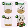Insect Lore Butterfly Garden Kit - 5 Live Baby Caterpillars, Habitat, Feeder, Chrys-A-Lid Log, STEM Journal Included - Grow, Raise and Release Painted Lady Butterflies #1