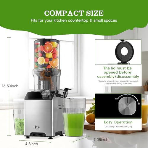 Cold Press Juicer, Wide Feed Chute Masticating Juicer, Gray Knob - Image 6