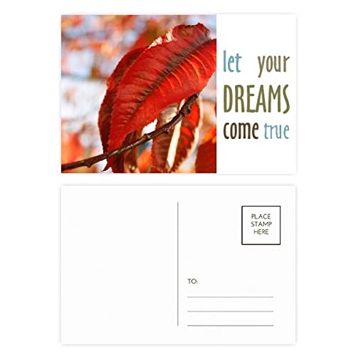 Cartes de remerciement Dream Come True motif nature érable rouge pour mariages et fêtes