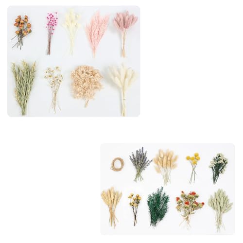 Flores secas para decoración y manualidades miniatura 3