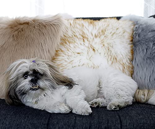 Peshtemania Dark Beige Fluffy Pillows (2Packs 18"X18") Cute Faux Fur Pillow Case Decorative For Couch Sofa Fuzzy Throw Pillows Covers For Bedroom Living Room Decor And Car Cushion #TOP7