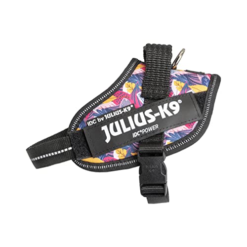 Pettorina IDC Power, Taglia: XS/Mini-Mini, Leaf 2 - Limited Edition