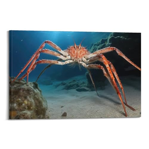 Poster crabe araignée moderne pour réveiller la déco d'une chambre à coucher en toile 60x90 cm