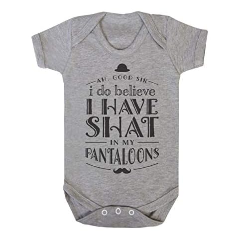 ART HUSTLE Ah Good Sir I Do Believe I Have Shat in My Pantaloons Short Sleeve Bodysuit (18-24 Months, Grey) Cover
