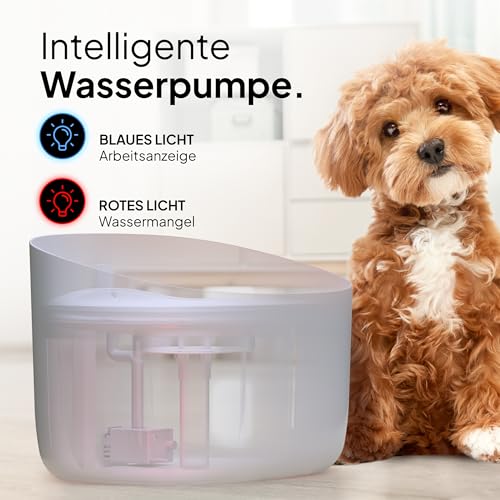 Pretty Paw Trinkbrunnen für Hunde - Super leiser Hunde Trinkbrunnen mit 7 Liter Wassertank - BPA-freier Hundebrunnen mit Filter & LED - Leicht zu reinigender Dog Wasserspender