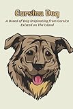 Cursinu Dog: A Breed of Dog Originating from Corsica, Existed on The Island: The Ultimate Guide To Cursinu Dog