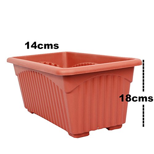 Easy Gardening Utiliko Plastic Royal 2 Rectangle Pot (Brown, Standard, Pack Of 6)