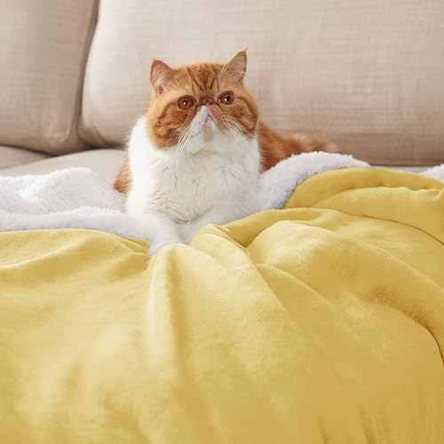 Image of Bedsure GentleSoft Sherpa Fleece Blanket Queen Size for Bed, Non-Heated, Thick and Warm Throw for Women and Men, Soft Fuzzy Plush Queen Blanket for Winter, Yellow, 90x90 Inches