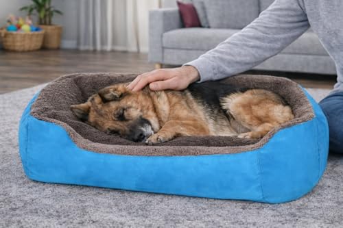 Image of SITSNOOZE Reversible Orthopedic Donut Dog Bed Large Size for Pets 10 to 20 kg Washable Cotton Sofa for Labrador, German Shepherd and Golden Retriever (Sky Blue, L)