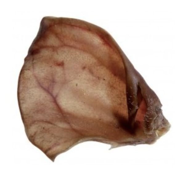 Oreilles de porc pour chien Yuccana détartrage naturel lot de 20