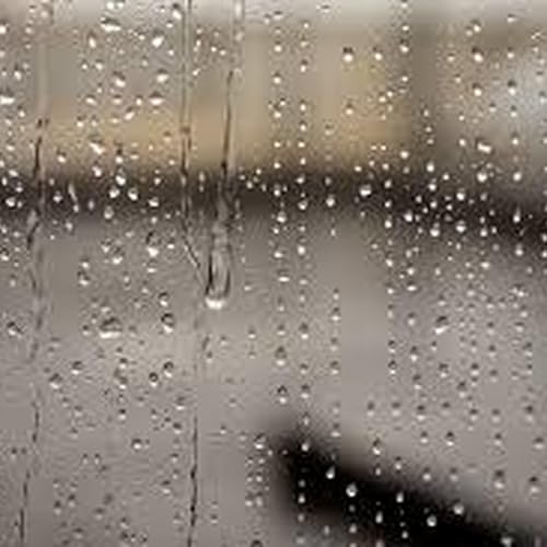 Fourth trophy in sight for Brisbane with Lions locked in AFLW GF; Teen killed in Brisbane house fire; And 8cm hail hits Brisbane's south