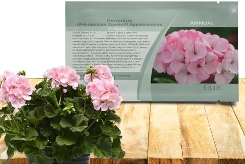 Outsidepride Appleblossom Geranium Seeds for Planting - 50 Pcs Annual, Heat & Drought Tolerant Flower Seeds with Green Foliage & Light Pink Blooms for Pots, Borders & Lush Summer Garden Displays