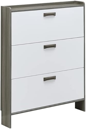 LEIRUO Zapatero - Armario de zapatos con 3 solapas abatibles cajones de almacenamiento organizador de zapatos para pasillo Talla 465 x 67 x 177