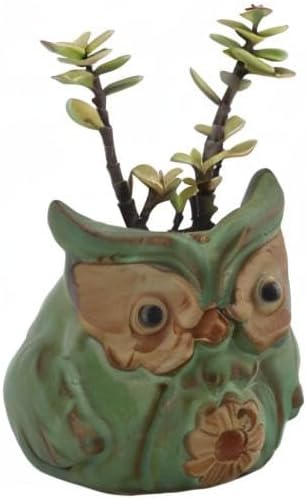 Miniatura 7 de Ogrmar Paquete de 6 cajas de ventana de búho lindo búho macetamacetas modernas de cerámica para suculentascontenedores de plantas de flores pequeñas
