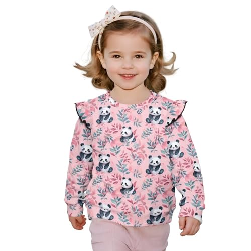 Winter Clothes for Girls 3-8 Cute Toddler Girl Outfits Basic Pullover Top