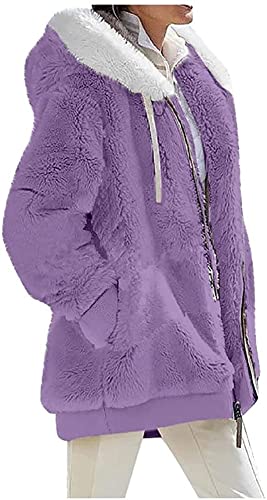 ShangSRS Sudadera con Capucha Mujeres de Invierno Sudadera Caliente De Manga Larga Chaqueta Suéter Abrigo Mujer Otoño-Invierno Talla Grande Hoodie con Cremallera (Morado, XL)